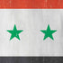 Syria Flag Distressed iPhone XR Pro Case